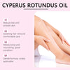 Aura Cyperus Rotundus Essential Oil | Calm Redness Slows Hair Regrowth after Hair Removal