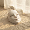 VelvetSkin LED Light Therapy Face Mask